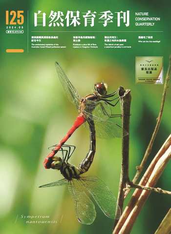 自然保育季刊